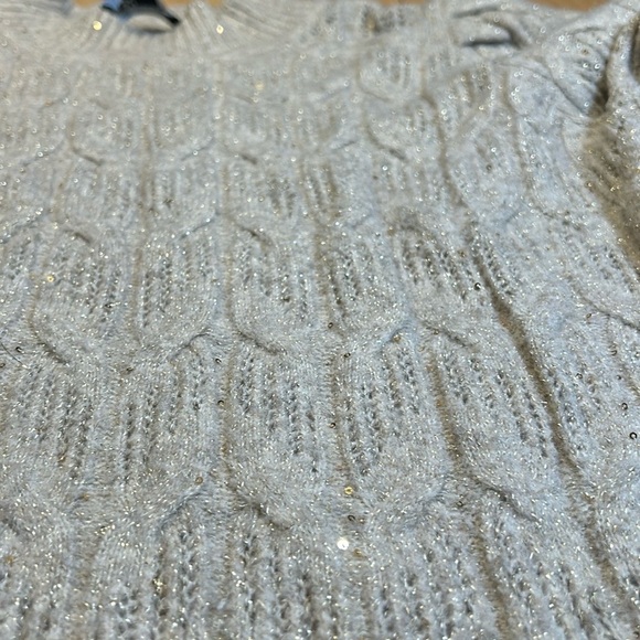 Express Tan with Gold Sequins Cable Knit Sweater - Picture 9 of 15